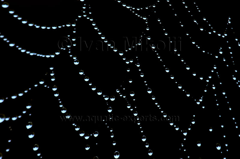 IMAGENES DE VENEZUELA